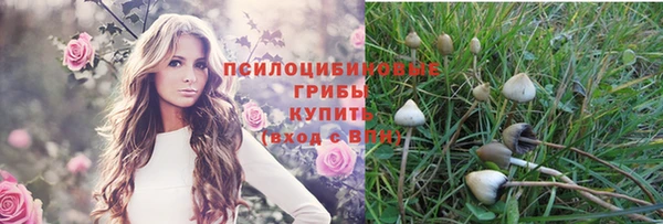соль курить ск Волосово